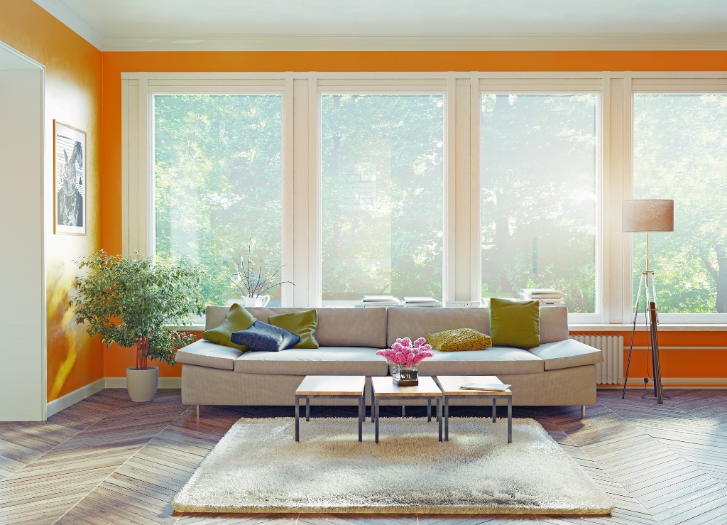 sunny living room with orange walls